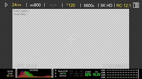RED Camera Display 스톡 After Effects
