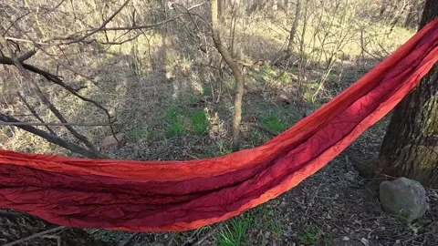 Red Camping Hammock Hanging Between Trees in Oklahoma Woods Stock Footage 335908540