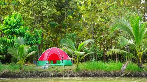 Red camping tent in the riverside forest Video stock 301776802