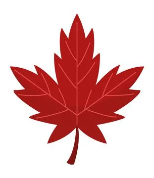 Red canadian leaf Illustrazione stock