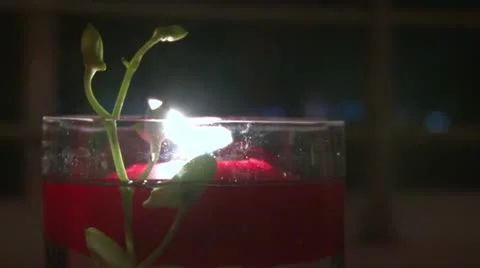 Red Candle Dark Background Video stock 20490454