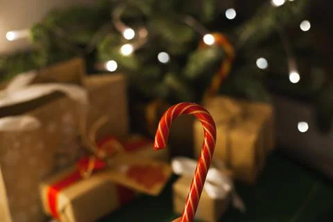Red candy cane with christmas tree Stock Photos