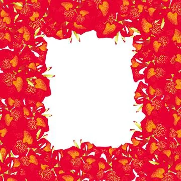Red Canna lily Border2 Stock Illustration