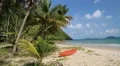 Red canoe on the beautiful tropical beach with palm trees HD Footage