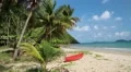 Red canoe on the beautiful tropical beach with palm trees HD Footage