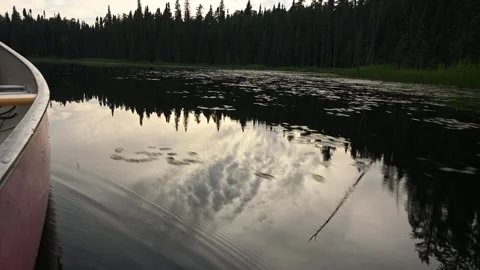 A red canoe is gliding through calm water that is reflecting late day clouds.  Stock Footage 249559608