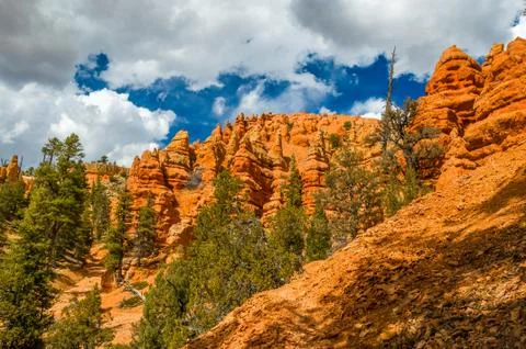 Red Canyon Stock Photos