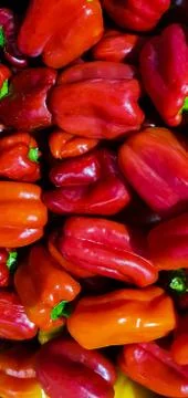 Red capsicum Stock Photos