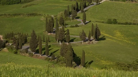 Red car drives down winding road past cypress trees in scenic Tuscan landscape 库存影片 124177535