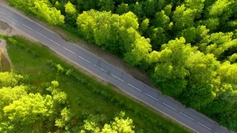 Red car drives on a road through green forest 스톡 동영상 333829733