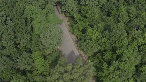 Red car driving in forest Stock Footage 123550377