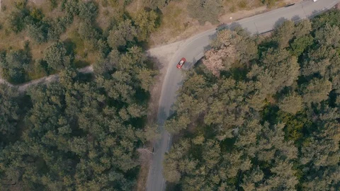 Red car driving in forest Stock Footage 123550404