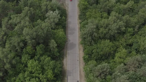 Red car driving in forest Stock Footage 123550438