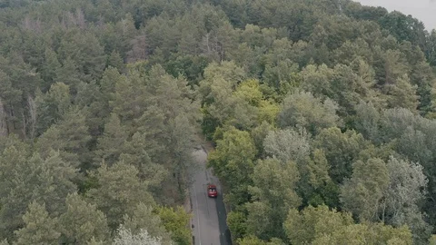 Red car driving in forest Stock Footage 123550510