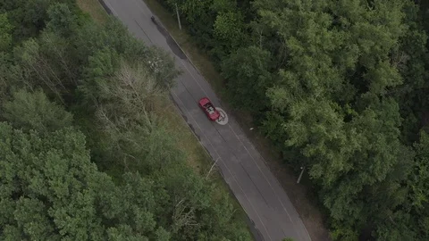 Red car driving in forest Stock Footage 123550548