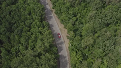 Red car driving in forest 库存影片 123550590