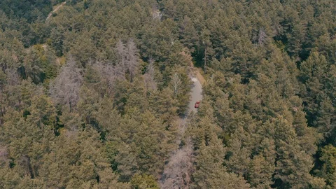 Red car driving in forest Stock Footage 123550779