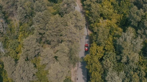 Red car driving in forest Stock Footage 123550937