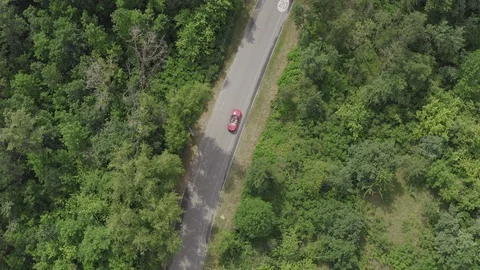 Red car driving in forest Stock Footage 123551039
