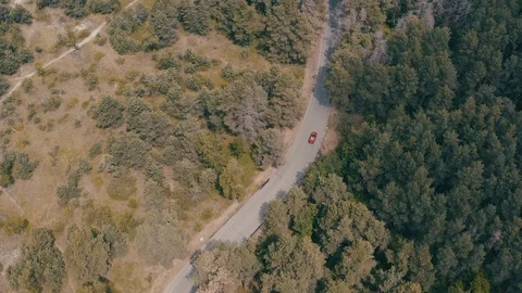 Red car driving in forest Stock Footage 123551209
