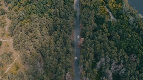 Red car driving in forest Stock Footage 123551354