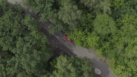 Red car driving in forest Stock Footage 123551525