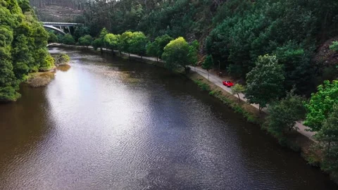 Red car driving on road next to river in forested valley Video stock 336955502