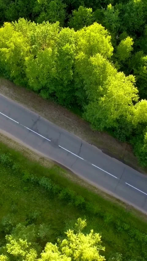 Red car driving on road through lush green forest Video stock 334169350