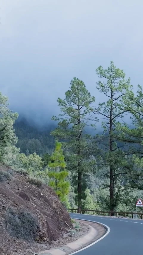 Red car driving on a winding mountain road through a foggy forest Видео 329865864