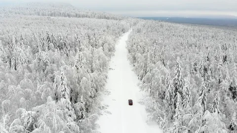 Red car is driving in winter forest, trees covered with snow around. Stock Footage 122431177