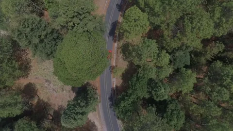 Red car on an empy Highway in the Forest Stock Footage 137549933