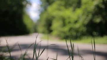Red car fast driving on highway road on background green forest at summer  day Stock-Footage 85830365