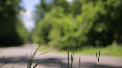 Red car fast moving on highway road on background summer forest and green nature Stock Footage 85830375