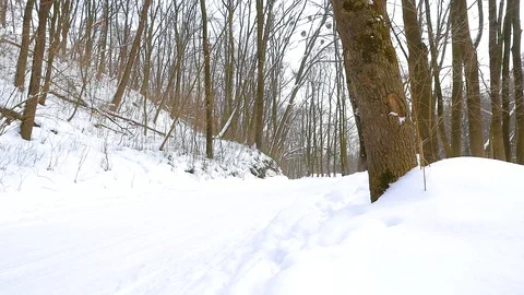 Red car goes on snow Stock Footage 87330257