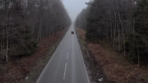 Red car moving on  forest road Stock Footage 107385586