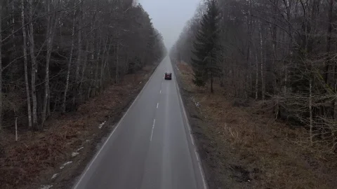 Red car moving road in the forest Video stock 107385570