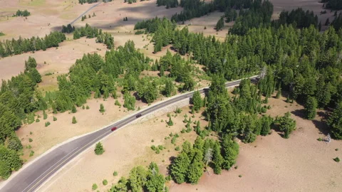 Red car on a road through the trees Stock Footage 152546680