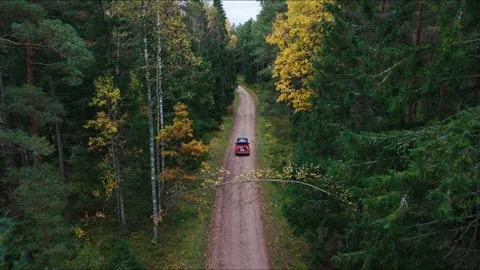 Red Car With Rooftop Tent Driving Forest Road Through Autumn Woods Latvia Vidéo 336643106