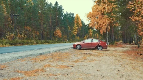 Red Car Starting in the Forest Stock Footage 71331891