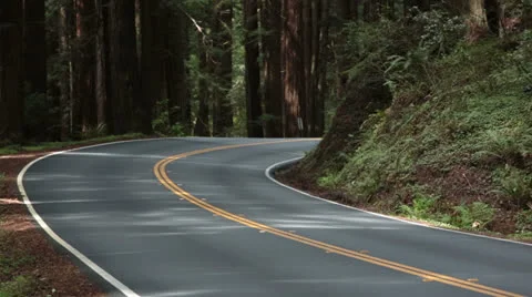 Red car turns corner in Redwood forest California HD 6141 Stock Footage 22845853