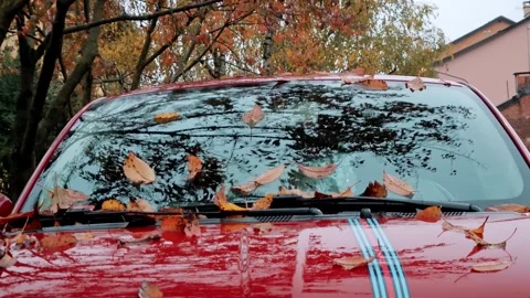 Red car windshield covered with raindrops and autumn tree reflections. Wet Stock Footage 324958738