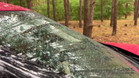 Red car windshield in the forest during a light rain Stock Footage 311409229