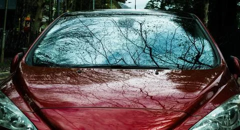 Red car windshield Fotos Stock