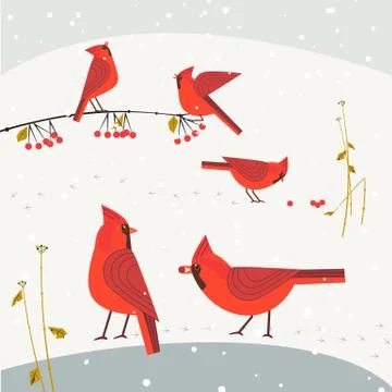 Red cardinal bird set Stock Illustration
