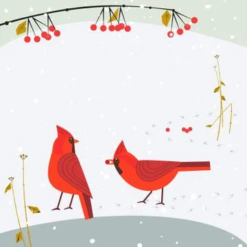 Red cardinal bird set Stock Illustration