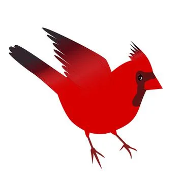 Red cardinal bird. Vector christmas red cardinal bird isolated on white backg Stock Illustration