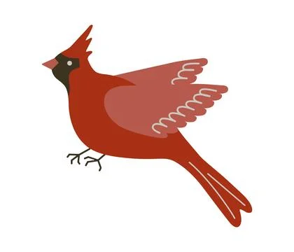 Red cardinal bird vector illustration. Cute sitting Northern cardinal songbird Stock Illustration