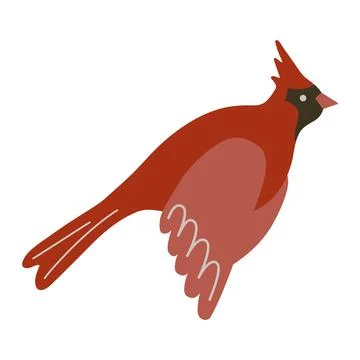 Red cardinal bird vector illustration. Cute flying Northern cardinal songbird Stock Illustration