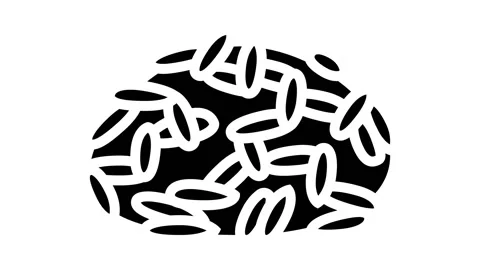 Red cargo rice glyph icon animation Stock Footage 224901814