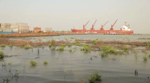 Red cargo ship loading 스톡 동영상 64306584